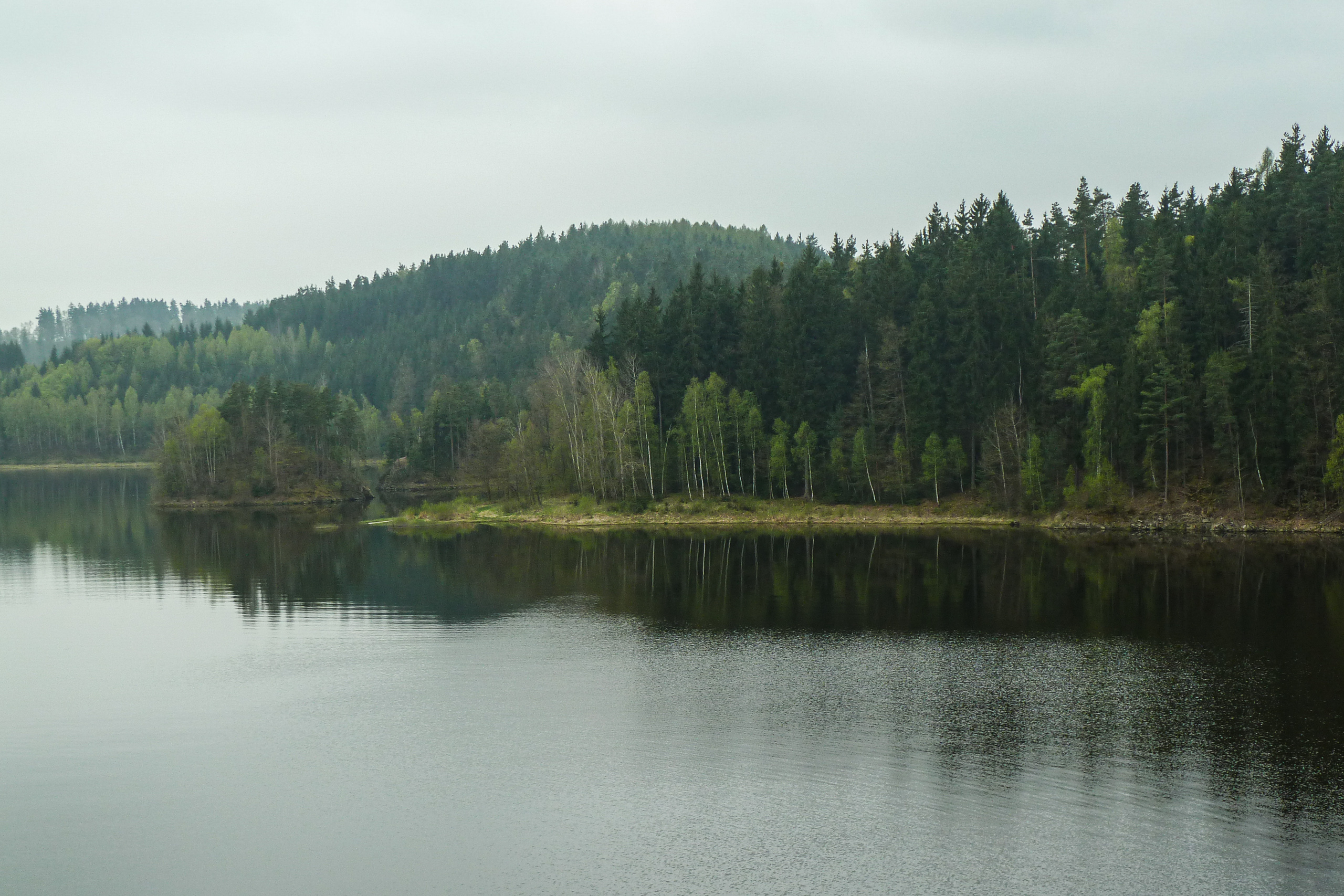 Südböhmischer Teich